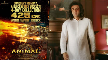 Ranbir Kapoor starrer Animal amassed a staggering amount of Rs 425 crore at the global box office within just four days of its release. The Sandeep Reddy Vanga directorial also stars Bobby Deol, Anil Kapoor, Rashmika Mandanna, and Triptii Dimri in pivotal roles.