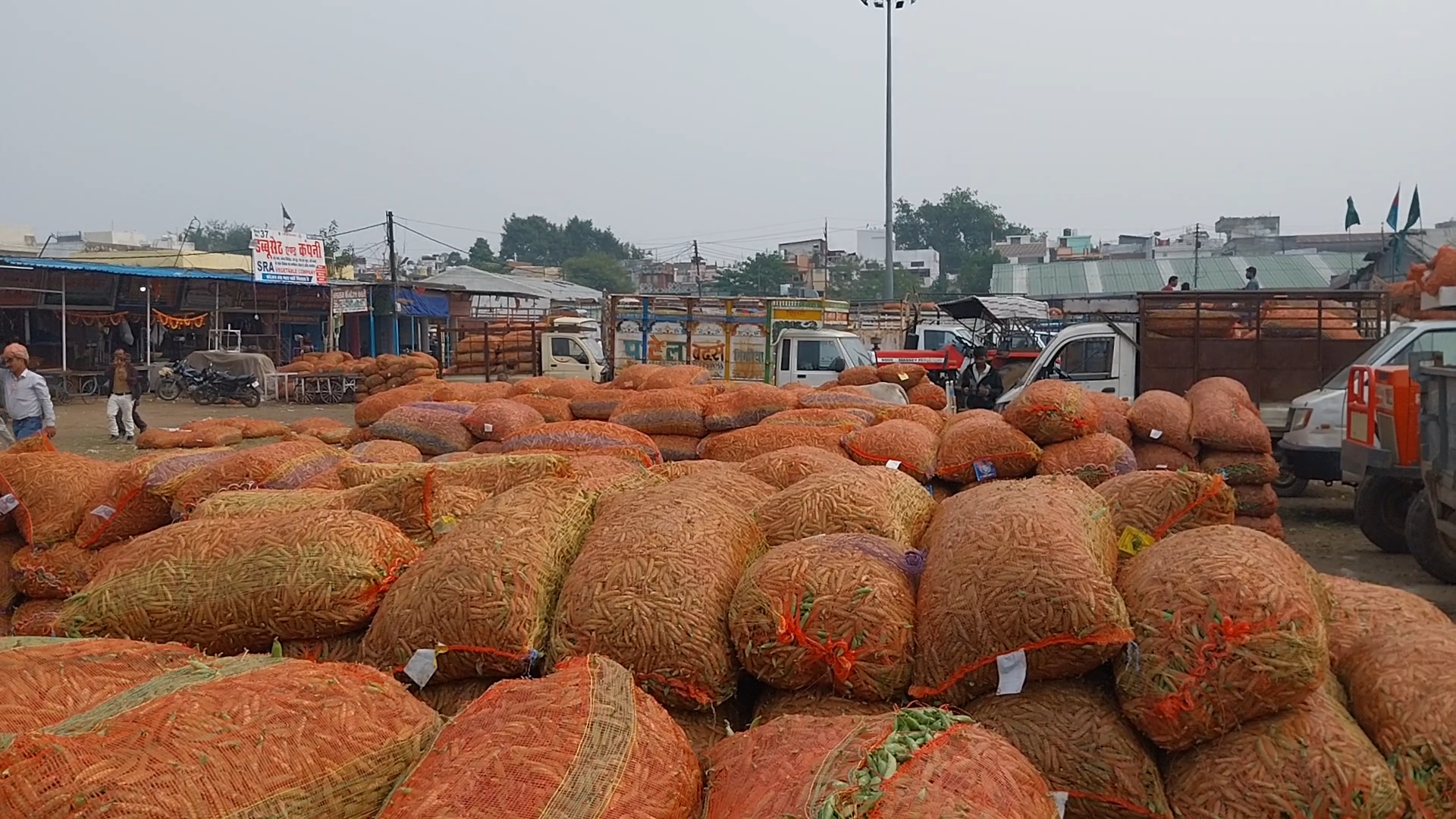 Green peas rotting in Jabalpur