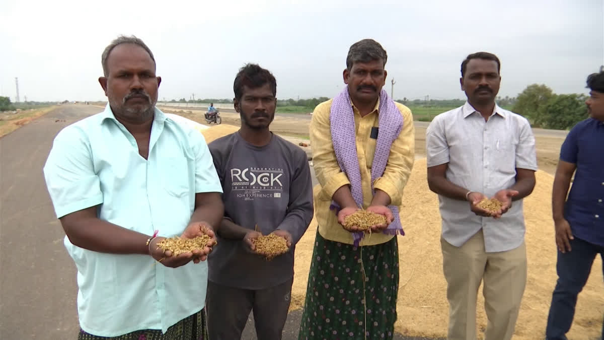 HEAVY CROP LOSS IN ANANTHAPUR DISTRICT