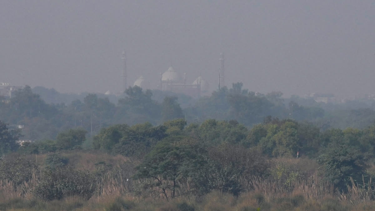 Delhi Breathes Easy After 50 Days as AQI Improves To 'Moderate'