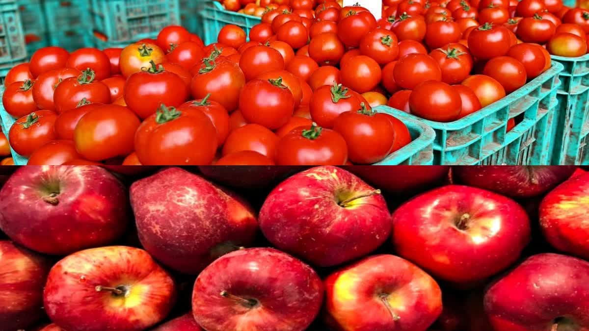 TOMATOES AND APPLE TRADE