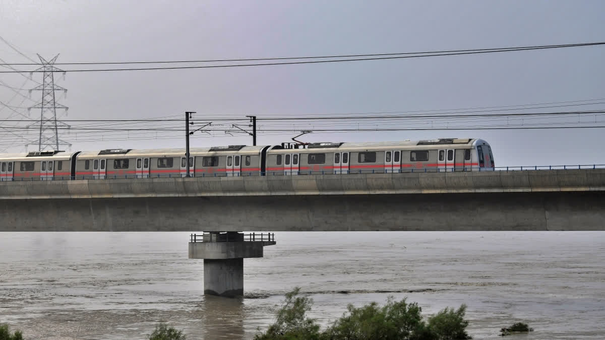 In a bizarre incident, thieves stole signalling cables affecting the services on Delhi Metro's Blue Line, one of the busiest corridors, between Moti Nagar and Kirti Nagar stations on Thursday.