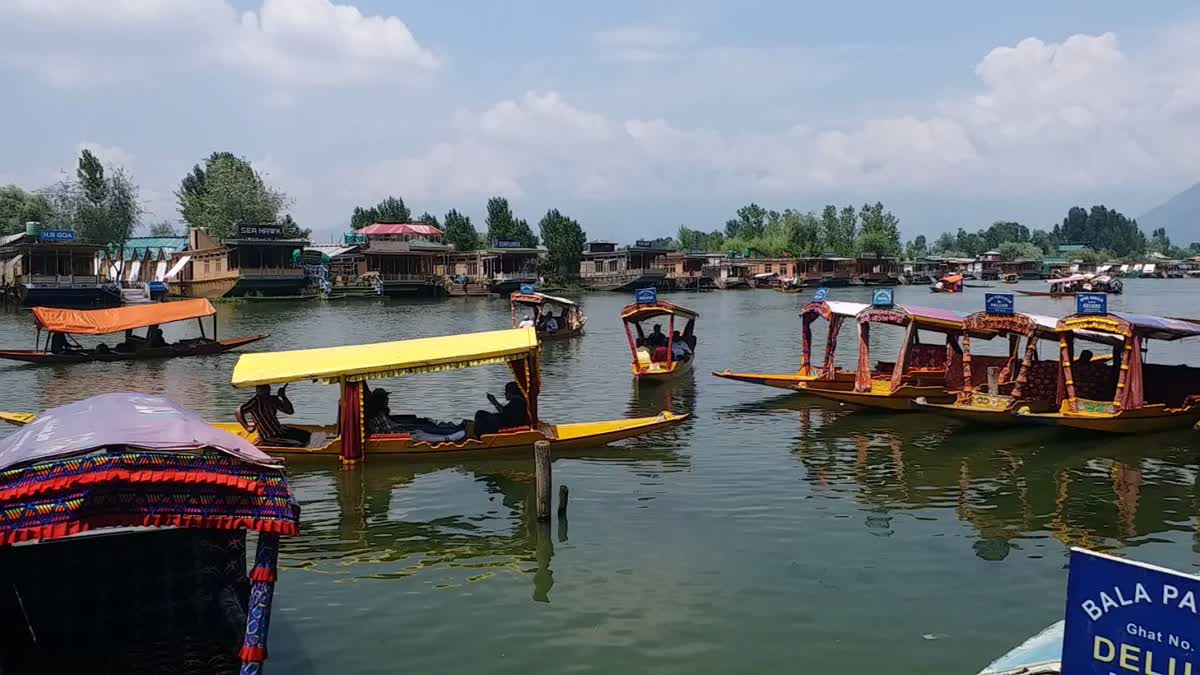 A view of Shikaras in Dal lake Srinagar