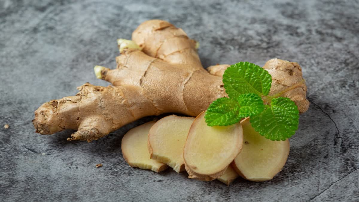 GINGER HEALTH BENEFITS  ഇഞ്ചിയുടെ ആരോഗ്യ ഗുണങ്ങൾ  GINGER FOR DIABETIC PATIENTS  BENEFITS OF CONSUMING GINGER