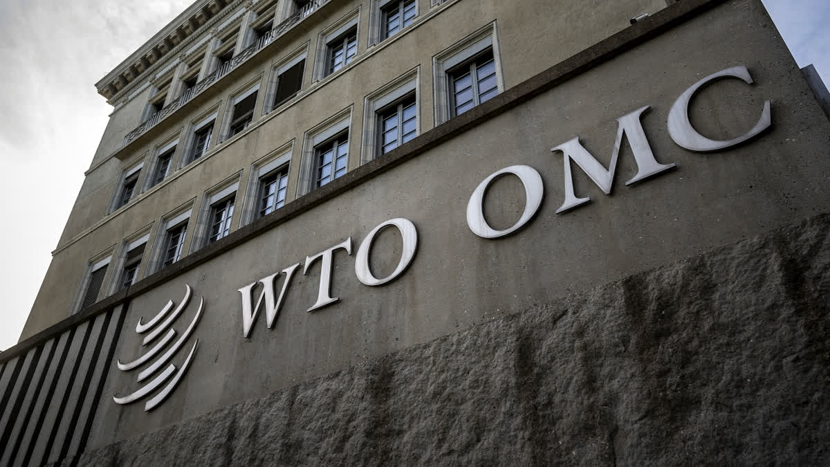 A picture taken in Geneva on February 5, 2024, shows the logo of the intergovernmental World Trade Organization (WTO) at its headquarters.