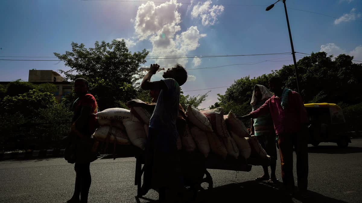 Labourers push a cart as one drinks water to survive the scorching heatwave