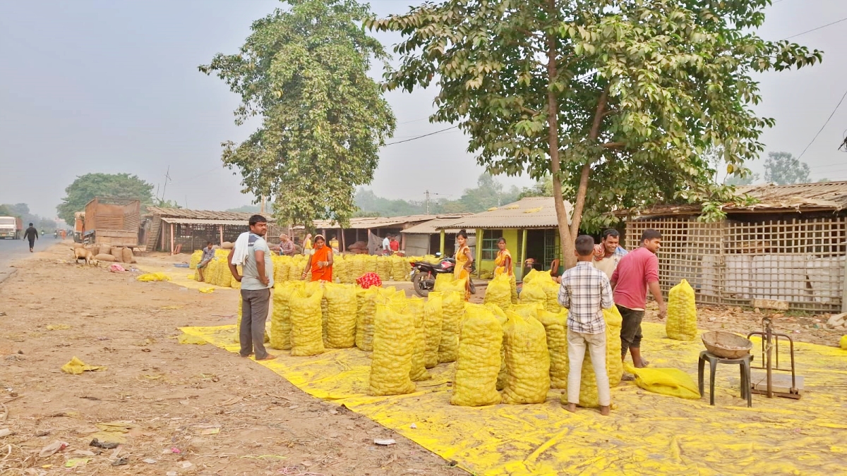 west bengal stopped potatoes supply