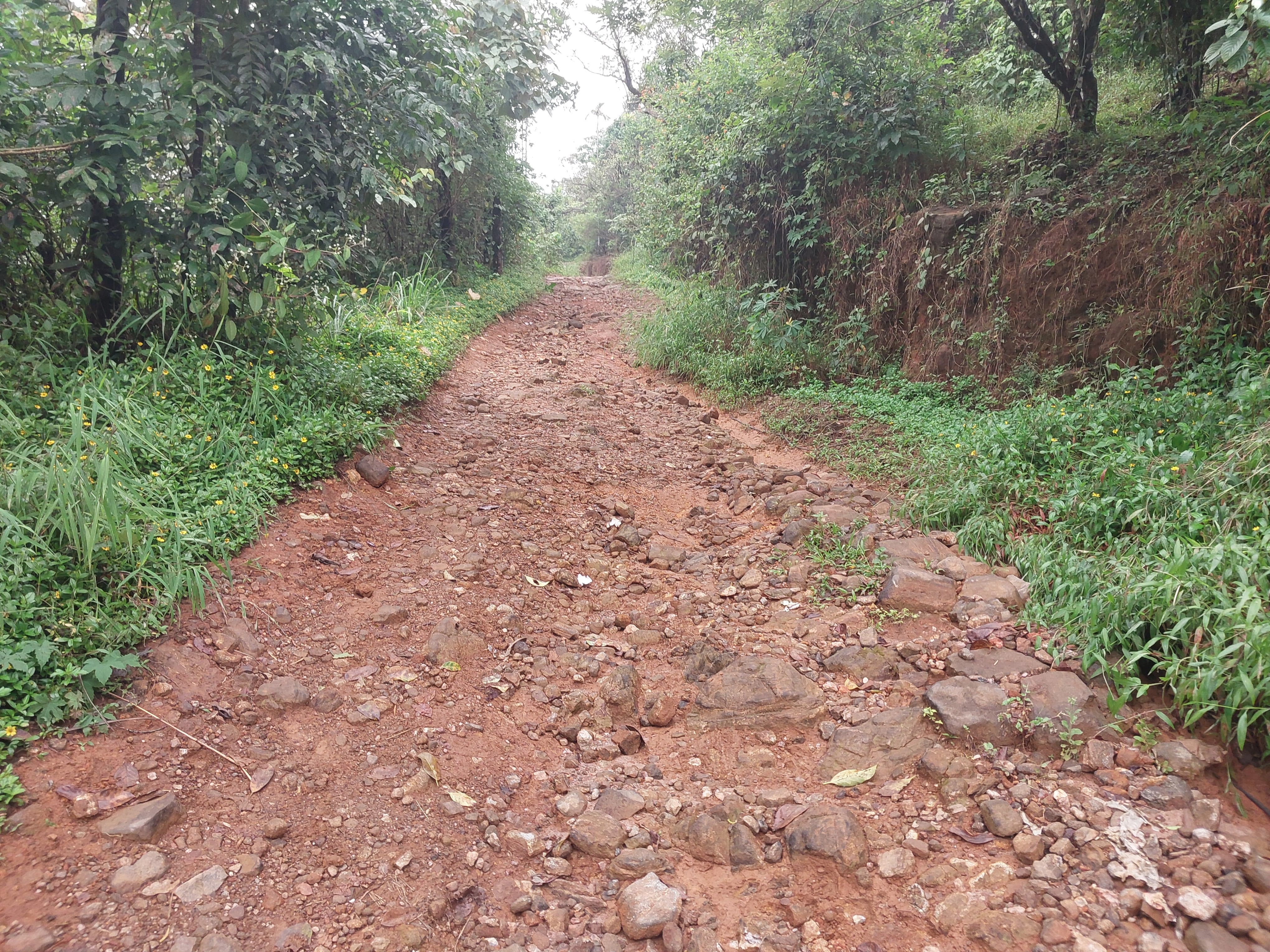 TOURIST ATTRACTIONS IN KANNUR  TOURIST SPOTS IN KANNUR  THIRUNETTI KALLU VIEW POINT  ജോസ്‌ ഗിരി തിരുനെറ്റിക്കല്ല്