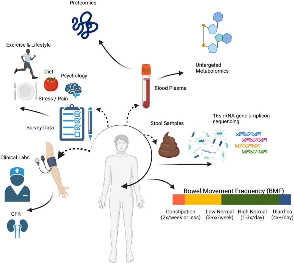 Findings of the study