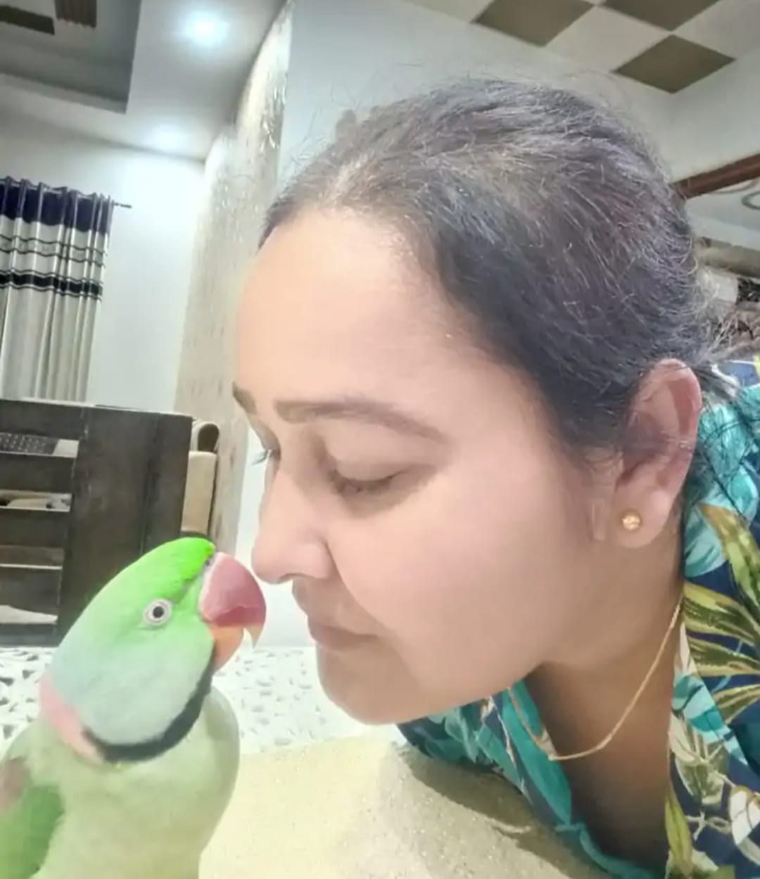 REWARD FOR FINDING PARROT  PARROT MISSING OFFERS REWARD MEERUT  RS 10000 FOR MISSING PARROT  PARROT MISSING