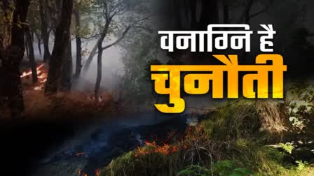 FIRE LINE IN UTTARAKHAND