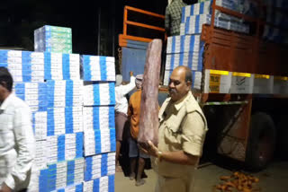 RED SANDALWOOD SEIZED BY POLICE