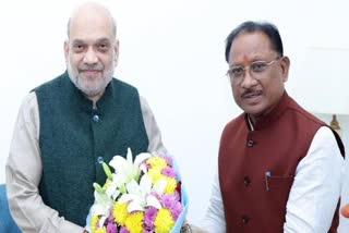 CM MEET AMIT SHAH