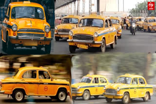 Abolition of Yellow Taxi