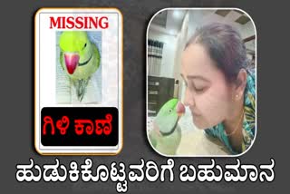 Meerut Akanksha Put Posters on Streets About Missing Parrot Kept Reward of 10000 Rs