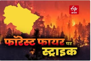 FIRE LINE IN UTTARAKHAND