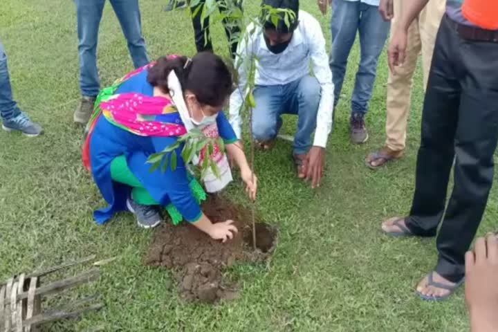 world environment day celebrated at Biswanath district of assam