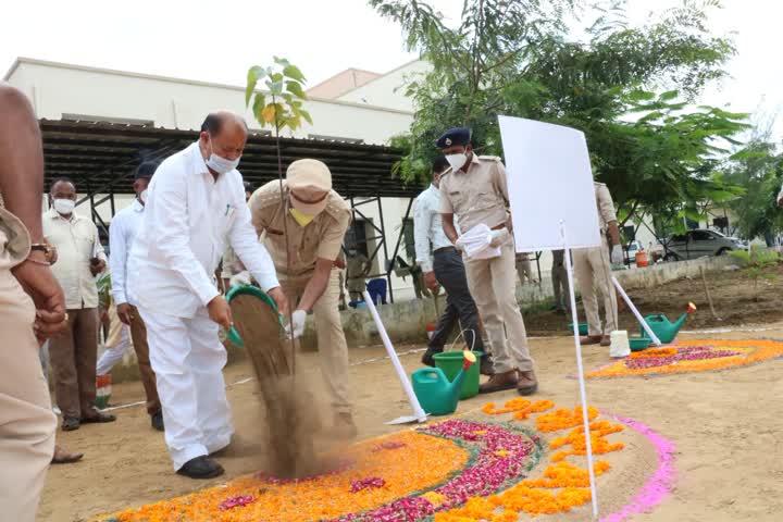 અરવલ્લી જિલ્લાનો 71મો વન મહોત્સવ ભિલોડાના માંધરી ખાતે યોજાયો 