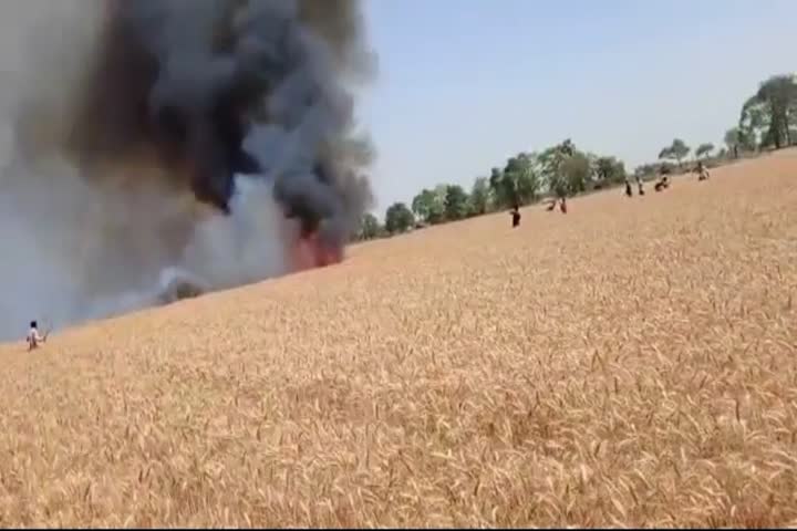 5 bigha wheat crop burnt due to fire in Rohtas