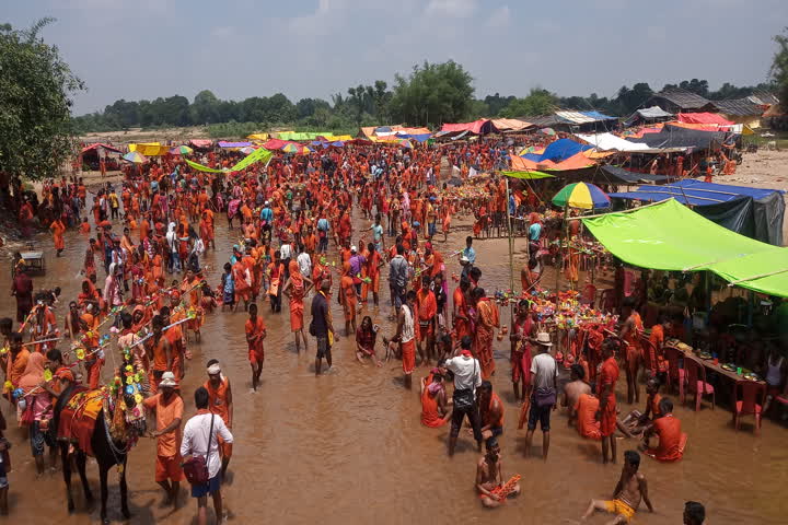 Farmers engaged in paddy cultivation due to not organised of Shravani Mela