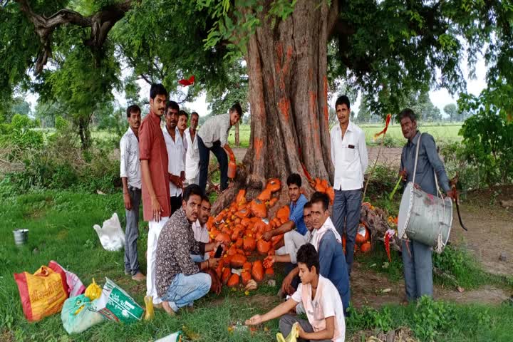 Worship of Kheda devata performed by law in ujjain