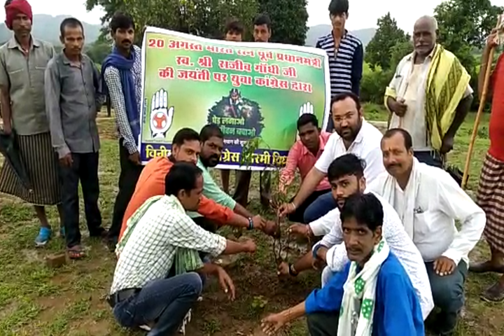 Plantation on occasion of Rajiv Gandhi Jayanti