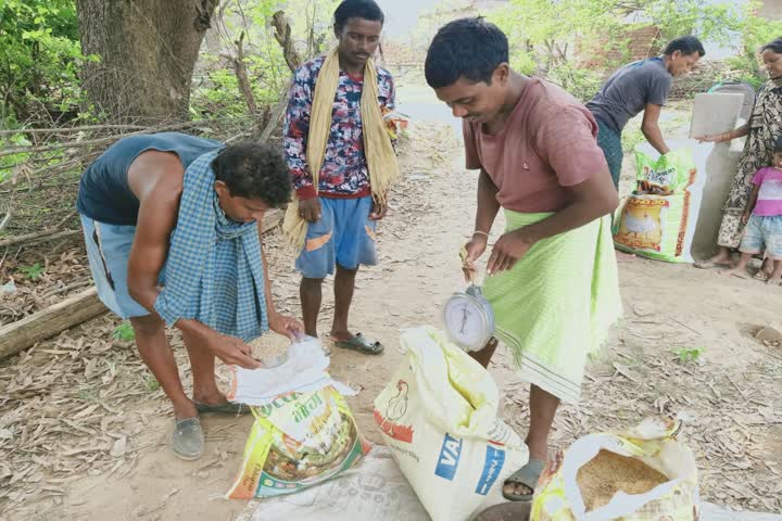 Tribals arrived to collect seeds