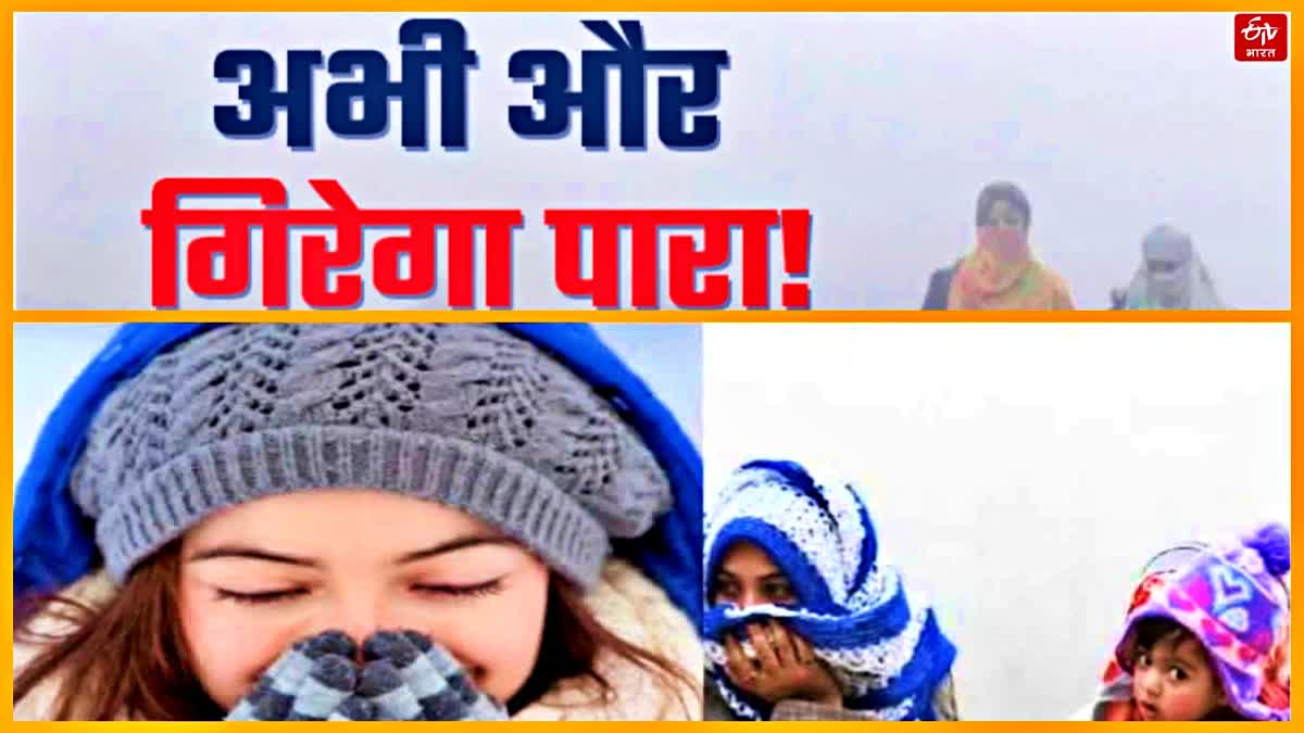 severe cold day  cold wave india cold in north india  north india temperature  cold weather update india