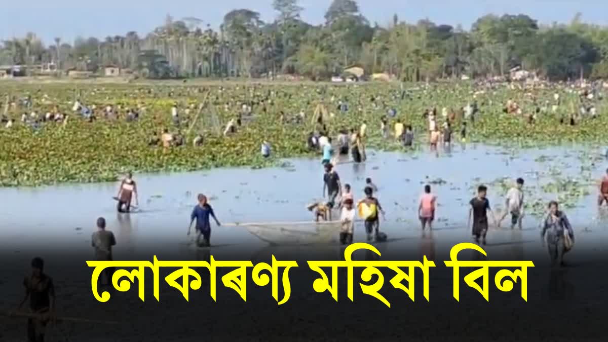 Fishing in Silchar