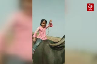 video of a little girl talking about Maratha reservation went viral