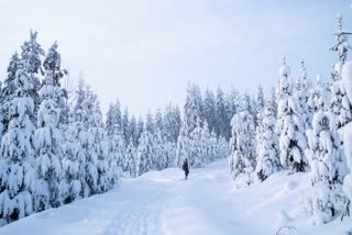 Finland winter  ഫിൻലൻഡ് തണുപ്പ്  മഞ്ഞുവീഴ്‌ച  Boiling water turns Ice
