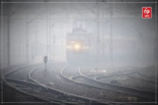 Dense fog grips Delhi