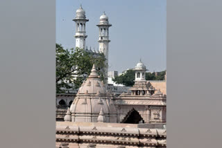 Gyanvapi mosque complex (Photo: ANI)