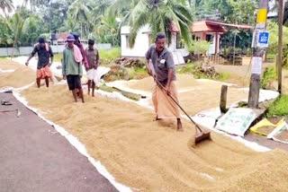 kerala paddy farmers  kerala paddy procurement  നെല്ല് സംഭരണ തുക  സർക്കാർ നെല്ല് സംഭരണം