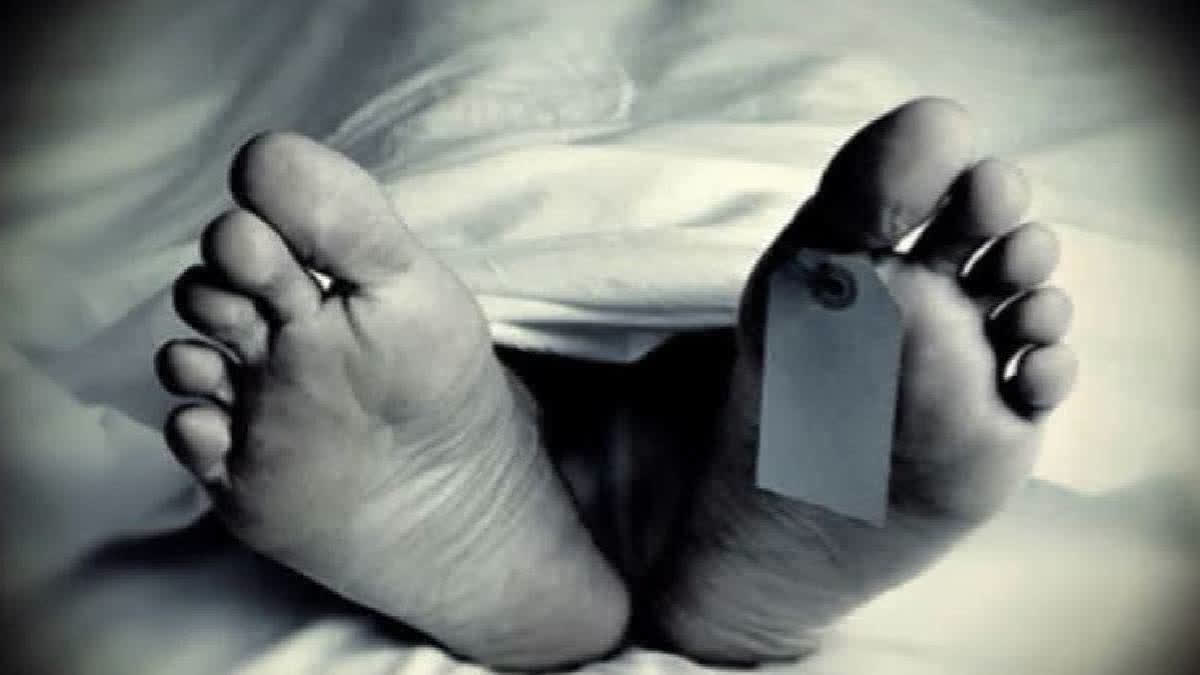 Youth Kills Mother, Ends Life On Bengaluru Outskirts