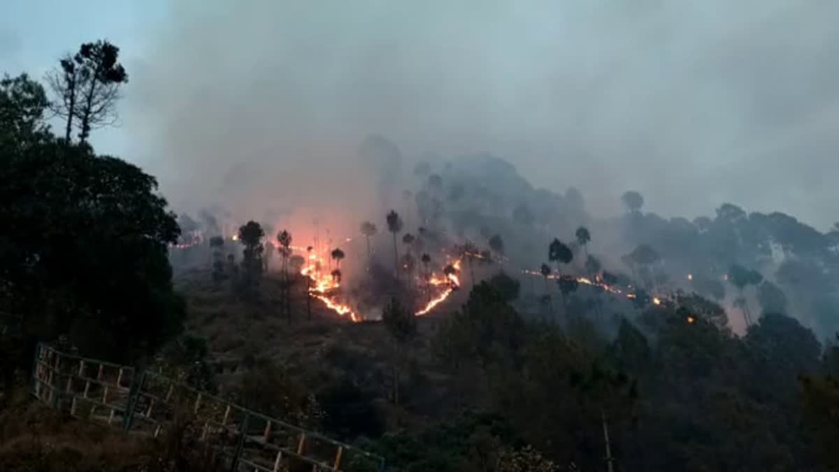 Uttarakhand Forest Fire