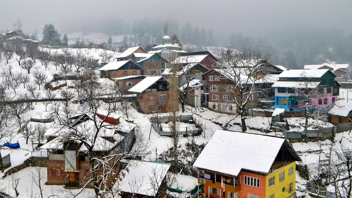 kashmir