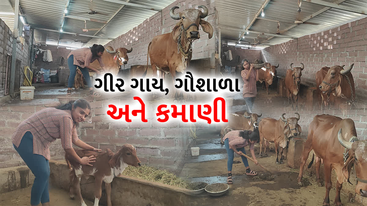 ગીર ગાય, ગૌશાળાથી આ મહિલા કરે છે લાખોની કમાણી