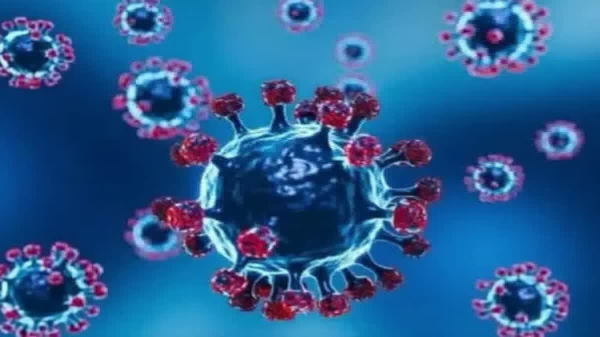 A two-month-old infant from Richha village in Sabla area of Dungarpur district has tested positive for Human Metapneumovirus (HMPV)