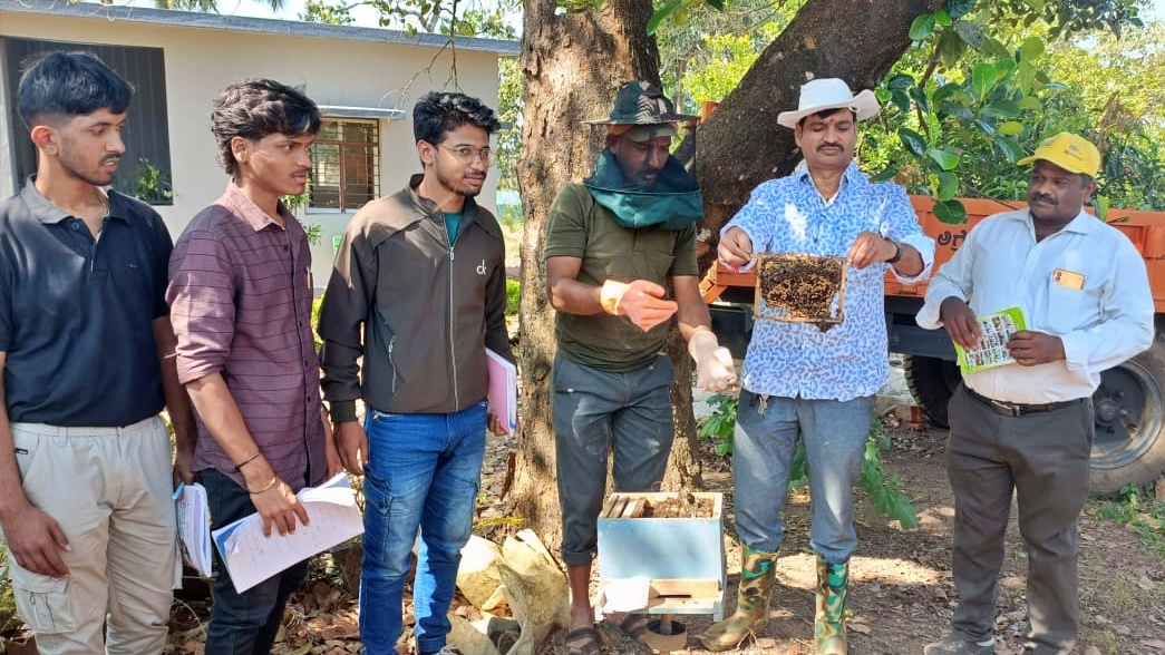 shedegali horticulture farm khanapur