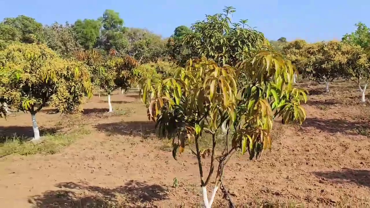 shedegali horticulture farm khanapur