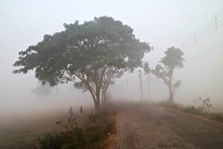 WEST BENGAL WEATHER UPDATE