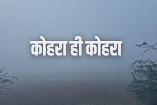 प्रदेश के कई हिस्सों में कोहरा