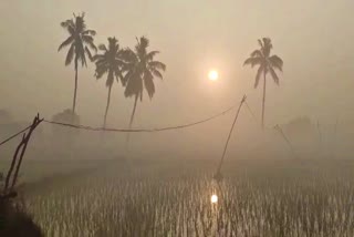 Siddipet District is Completely Covered with Fog