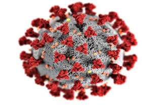 Human Metapneumovirus