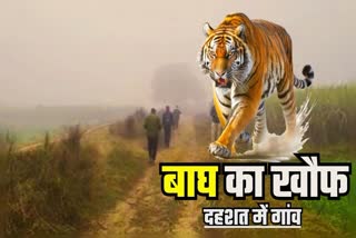 Bagaha Tiger Rescue