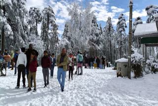 Tourists enjoys snow after the first snowfall of the season received, at Patnitop in Udhampur