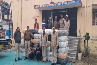 Police seized ganja in Bhilwara