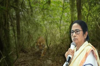 CM Mamata Banerjee