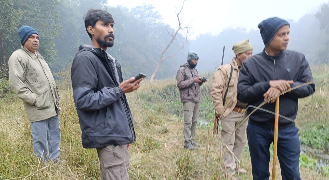 tiger footprints found in lucknow rehman kheda but no location